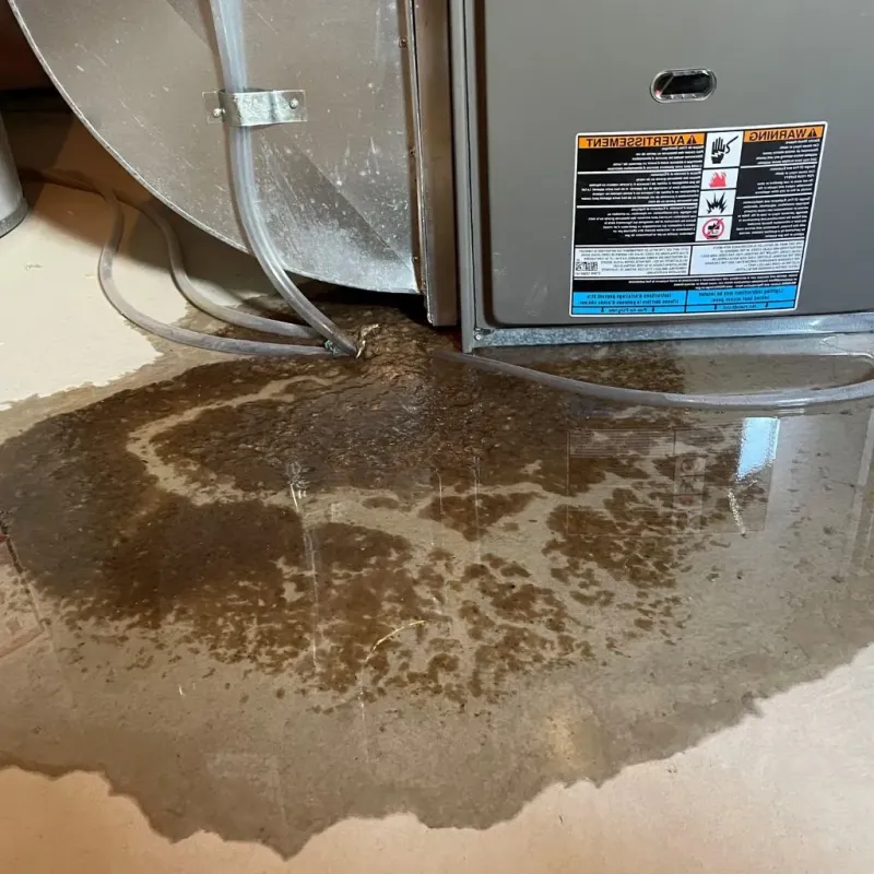 Pipe Burst and Leak Restoration in Two Rivers, WI