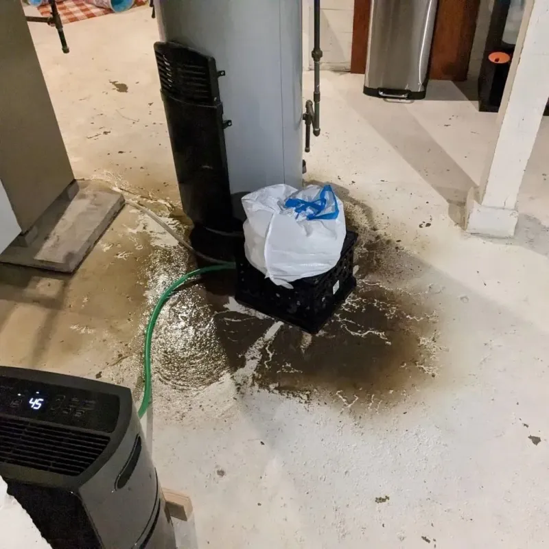 Sewage Backup Cleanup Service in Two Rivers, WI